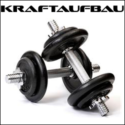 Ratgeber - Kraftaufbau