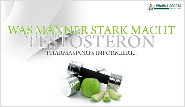 Was Männer stark macht - Testosteron! Was Männer stark macht - Testosteron!