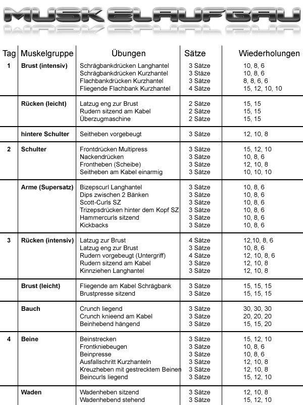 Pharmasports Trainingsplan Muskelaufbau