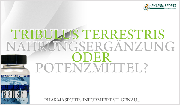 Pharmasports informiert zu: Tribulus, nur eine Nahrungsergänzung oder doch ein Potenzmittel?