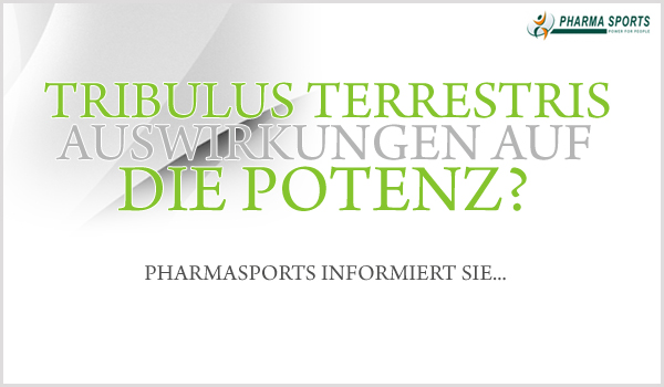 Hat Tribulus Auswirkungen auf die Potenz? Pharmasports informiert. 