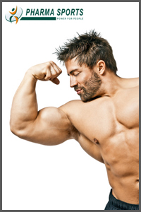 Pharmasports informiert zu effektiven Trainingsübungen für eine maswsige Armmuskulatur