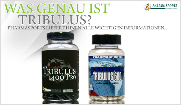 Was ist Tribulus Terrestris und was kann es? Pharmasports informiert...