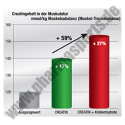 All Stars Zell-Tech für starke Ergebnisse im Bodybuilding