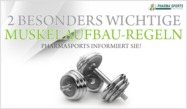 2 besonders wichtige Regeln für den Muskelaufbau 2 besonders wichtige Regeln für den Muskelaufbau